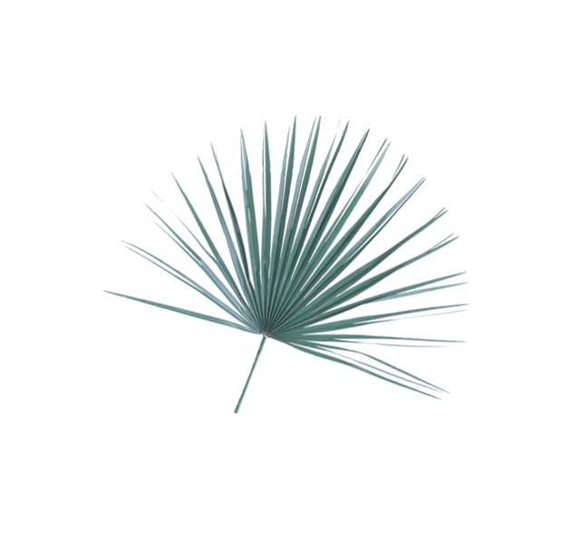 MEDITERRANEAN PALM ALTAR DECOR