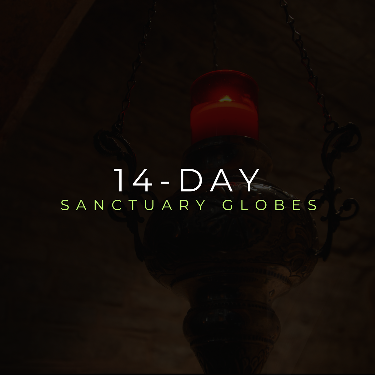 14- Day Sanctuary Globes