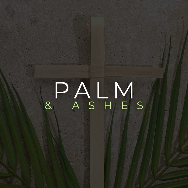 Palm & Ashes