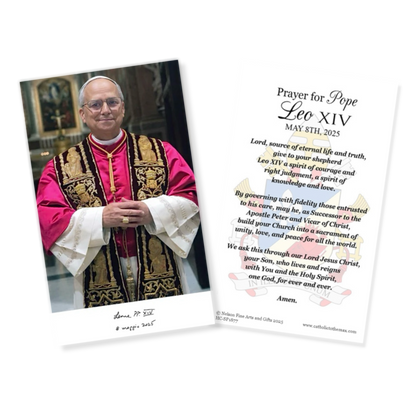 Pope Leo XIV Official Portrait 3"x5" Holy Cards | HC2-1877