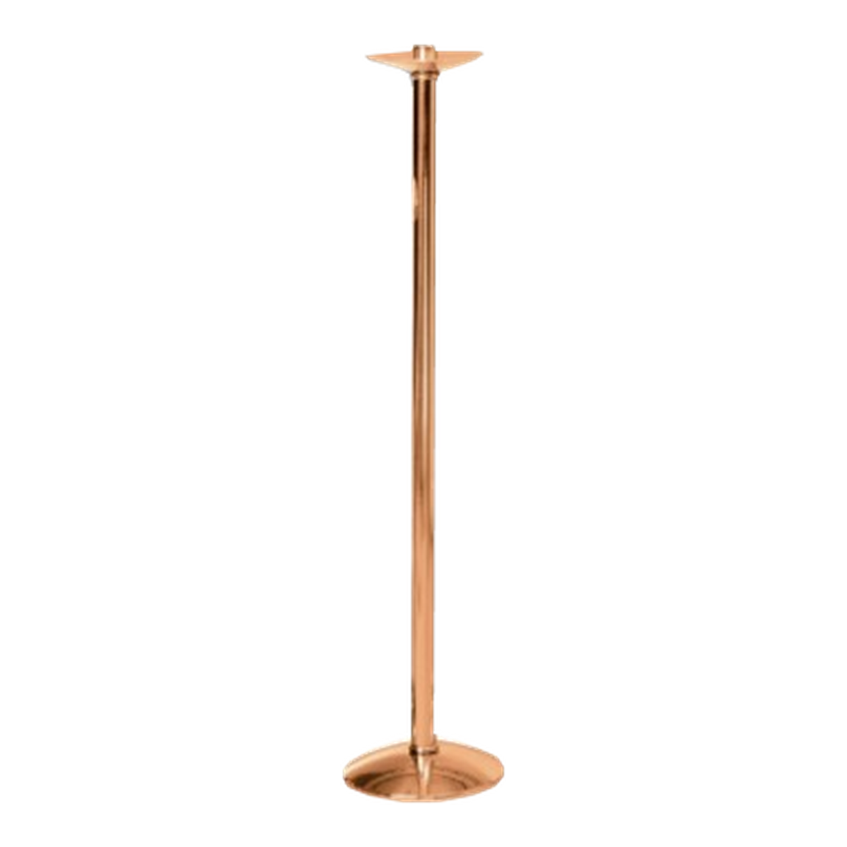 Excelsis 216-129, high-polish bronze as pictured — exact 2026 catalog photograph. Other metal and finish options not pictured.