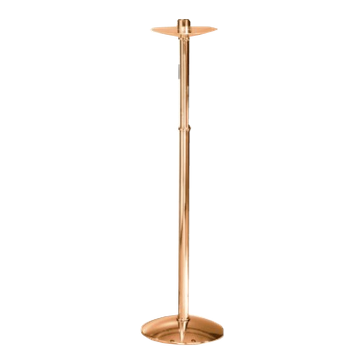 Excelsis 216-175, high-polish bronze as pictured — exact 2026 catalog photograph. Other metal and finish options not pictured.