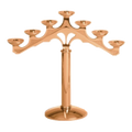 Excelsis 216-8 seven-light candelabra in high-polish bronze — exact 2026 catalog photograph. Alternate metal and finish options not pictured.
