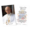Pope Leo XIV Official Portrait 3"x5" Holy Cards | Spanish | HC2-SP1879