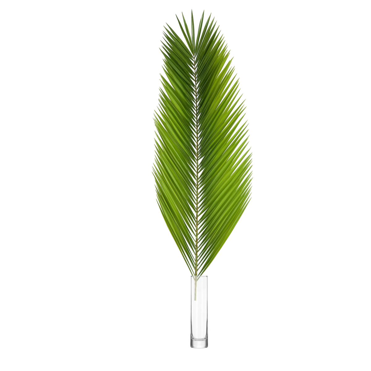 Date Palm | Altar Decor