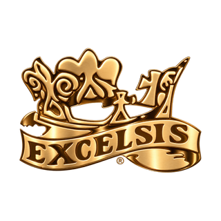 Excelsis Progressive Bronze logo
