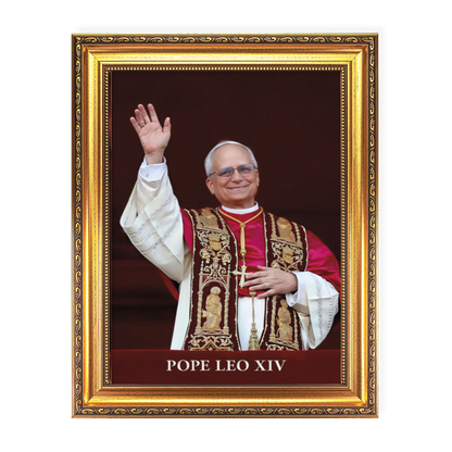 Pope Leo XIV | 570 Series