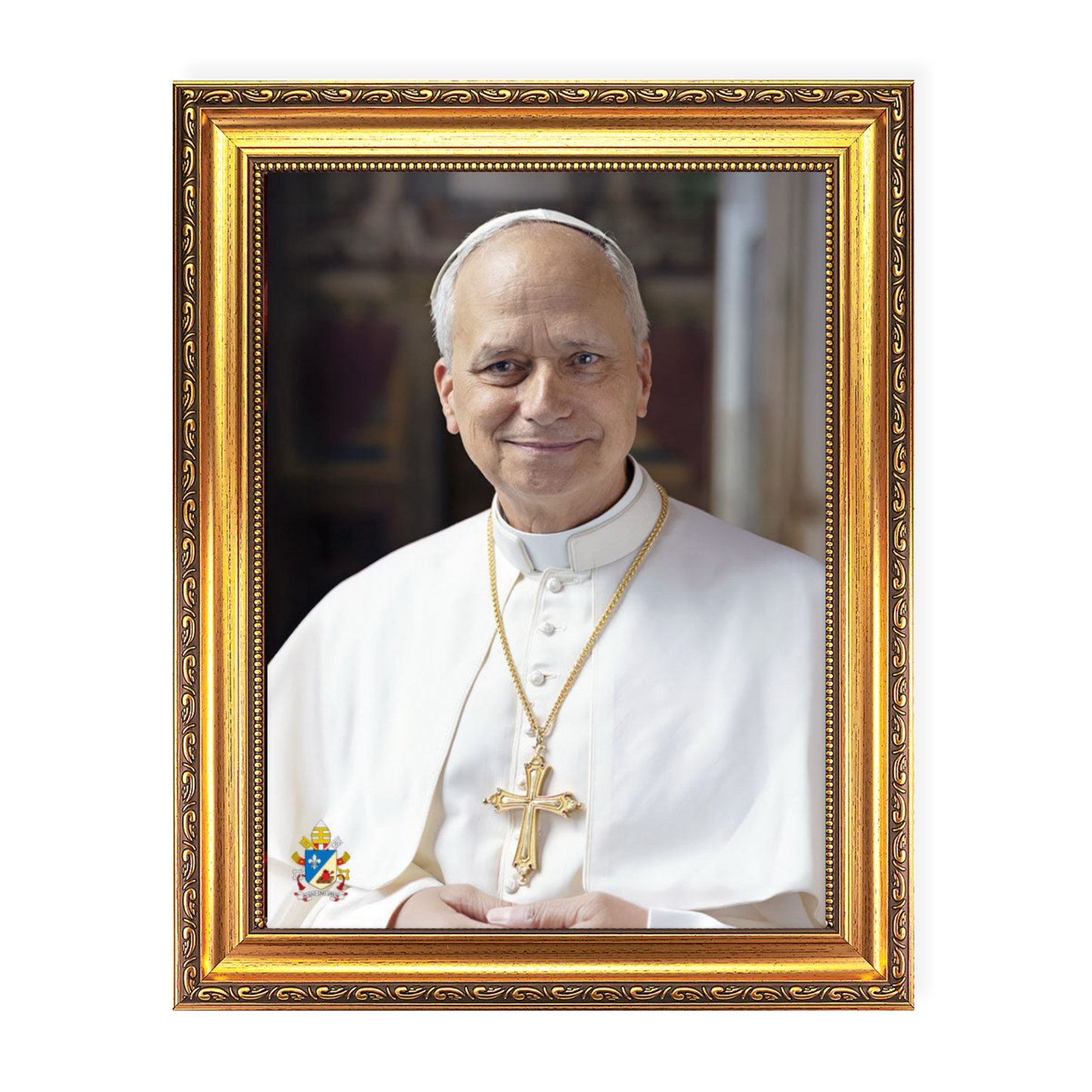 Pope Leo XIV | 570 Series