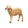 Standing Sheep | Fontanini 50" | Nativity Figure | 52336