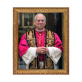Pope Leo XIV Formal Portrait Framed Art | NW-1877