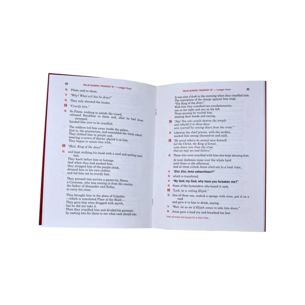 Passion of Our Lord | 96/00 – alternate view 2