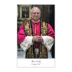Pope Leo XIV Official Portrait 4x6 Holy Cards | HC3-1877