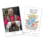 Pope Leo XIV Official Portrait 4x6 Holy Cards | HC3-1877