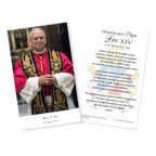 Pope Leo XIV Official Portrait 3"x5" Holy Cards | Spanish | HC2-SP1877