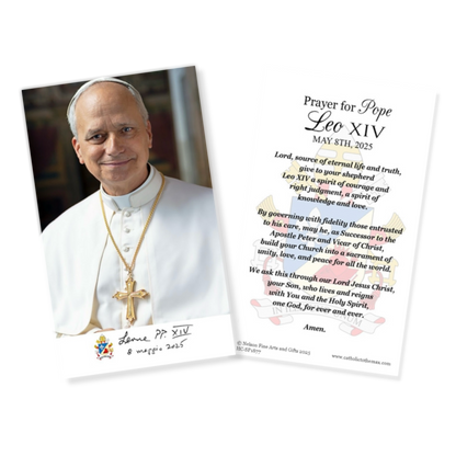 Pope Leo XIV Official Portrait 3"x5" Holy Cards | HC2-1879
