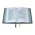 Lectionary - Weekday Mass (Vol. II) Chapel Edition 45/22
