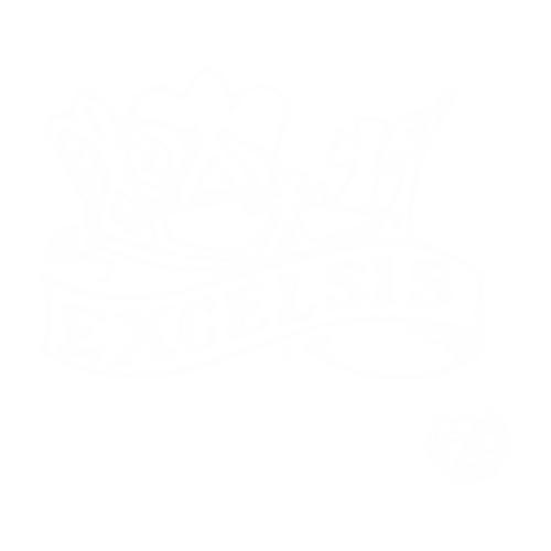 Excelsis Progressive Bronze