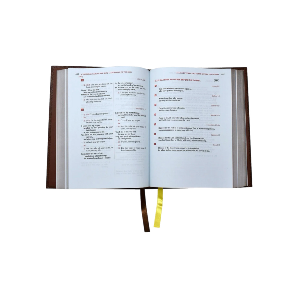 Lectionary - Weekday Mass (Vol. IV) | Chapel Edition | 47/22