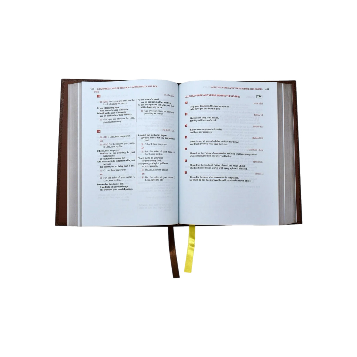 Lectionary - Weekday Mass (Vol. IV) | Chapel Edition | 47/22