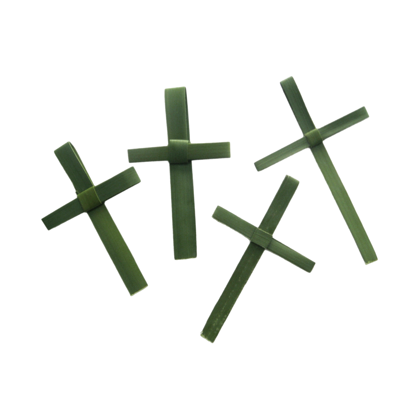 Green Palm Crosses