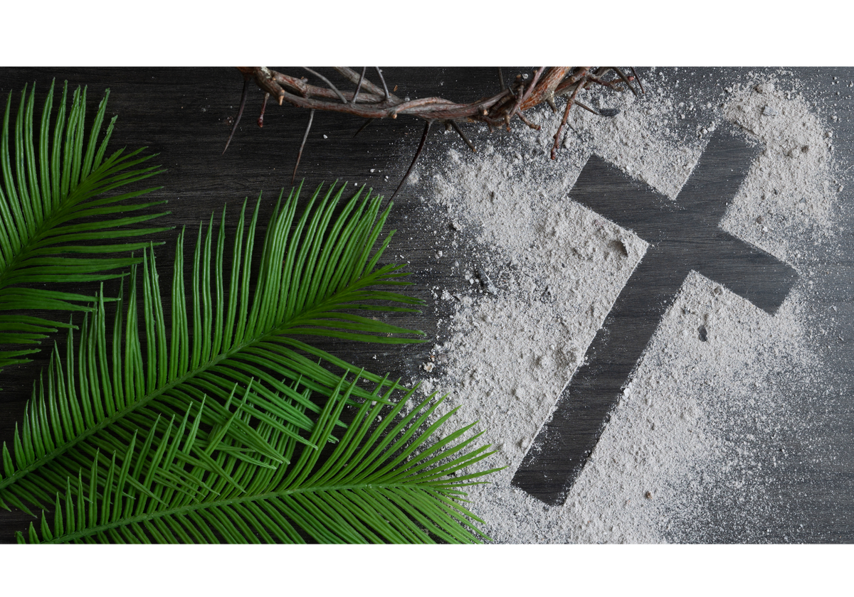 Palm & Ashes