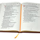 Book of the Gospels 165/00